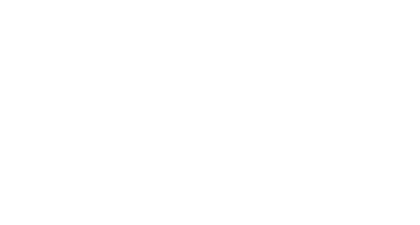 Logo Hockey Élite Beaudoin